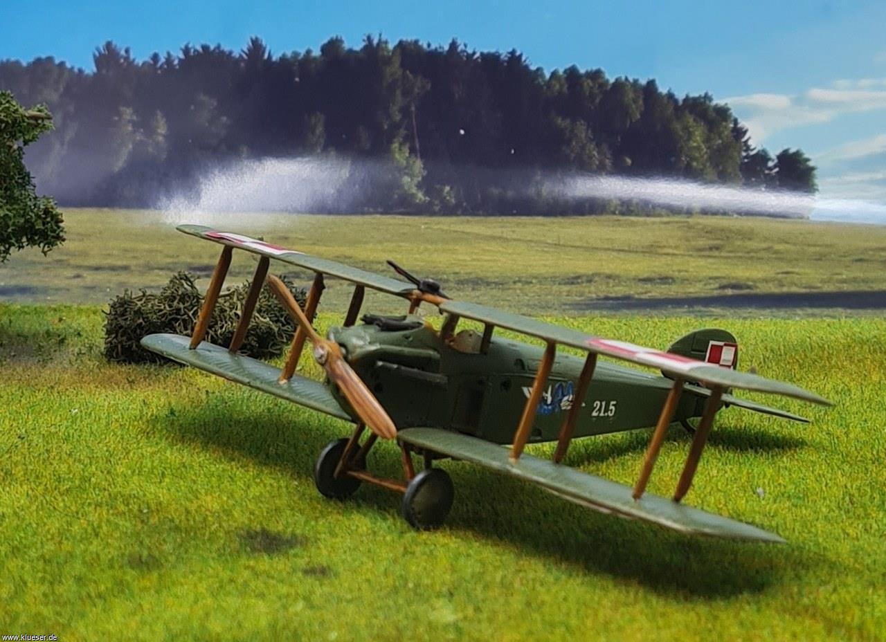 Sopwith Dolphin in Polish Service