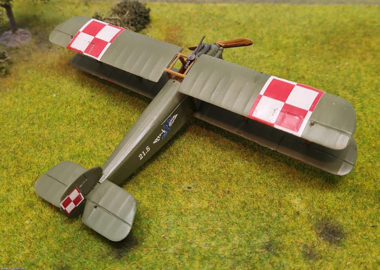 Sopwith Dolphin in Polish Service