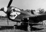 Curtiss P40 Warhawk Skull