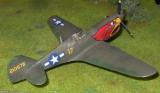 Curtiss P40N Warhawk Roosters