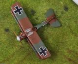 Pfalz D.II Haifisch