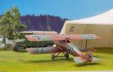 Pfalz D.II Haifisch