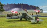 Sopwith Dolphin in Polish Service